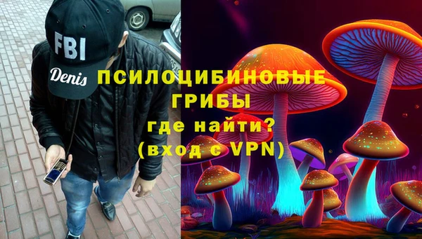 амф Бронницы
