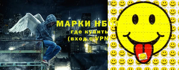 гашик Бородино