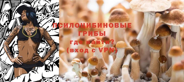 jwh Верея
